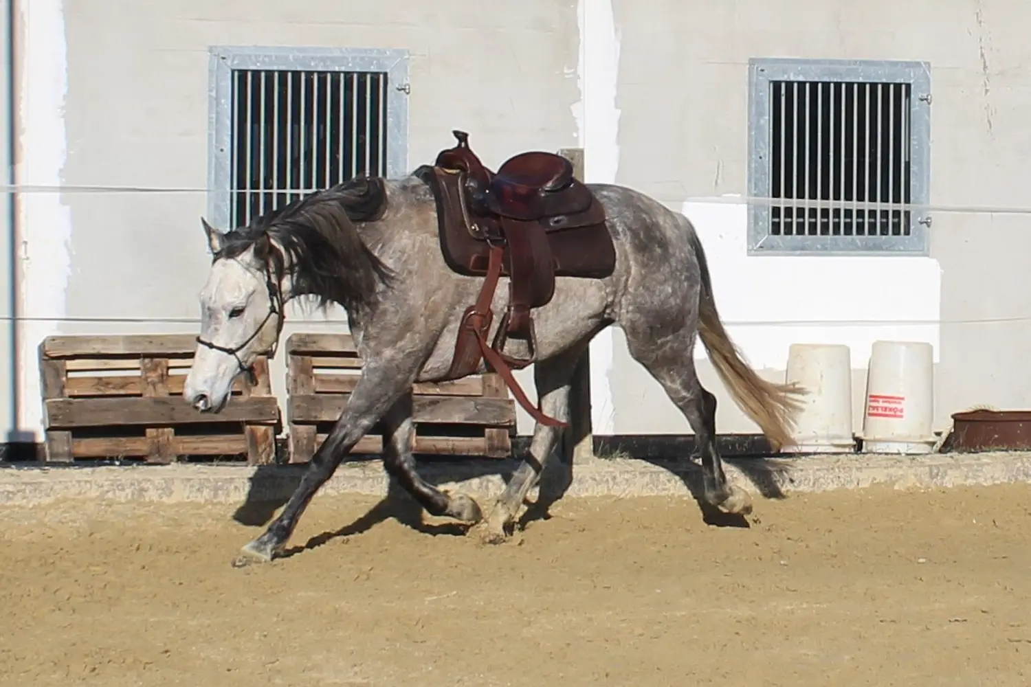 Reitunterricht