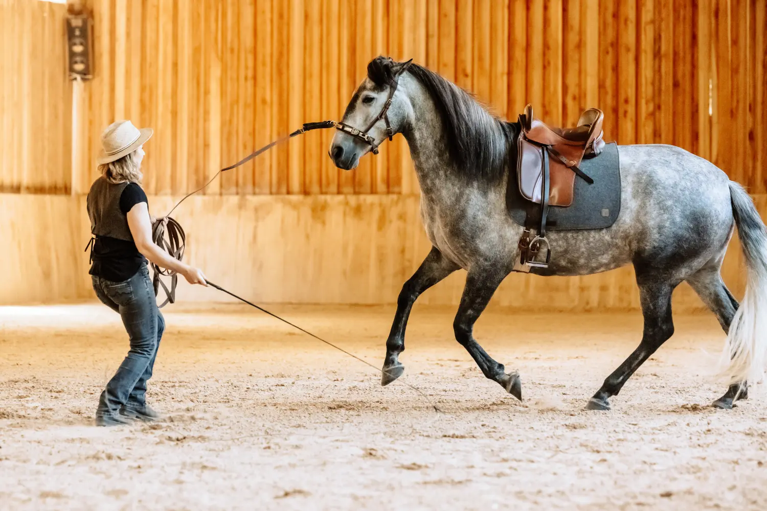 Horse College