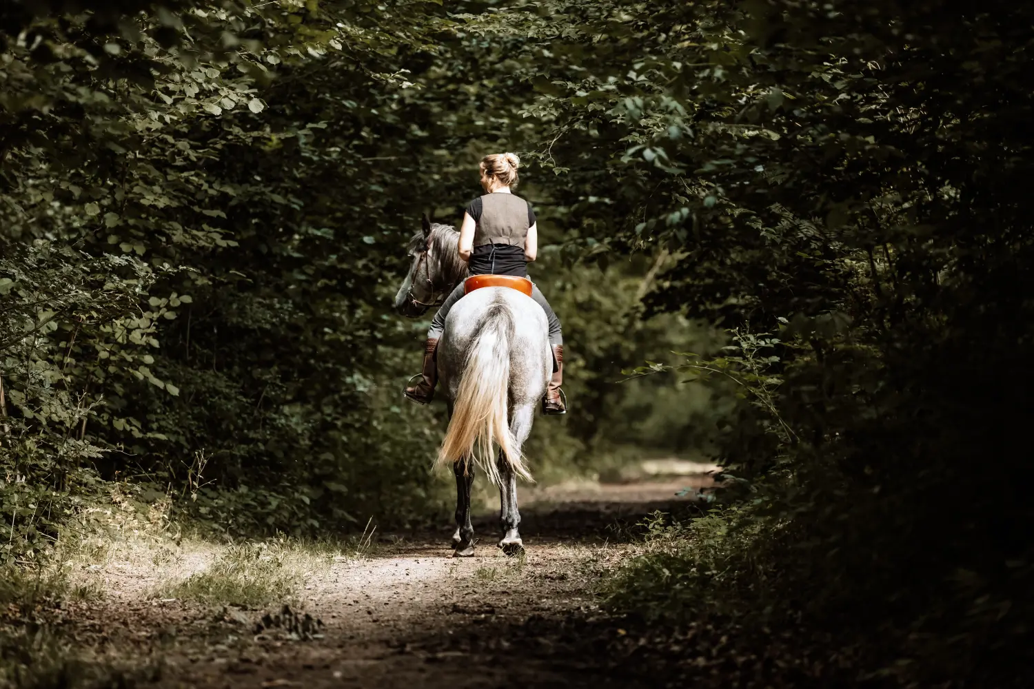 Reitunterricht