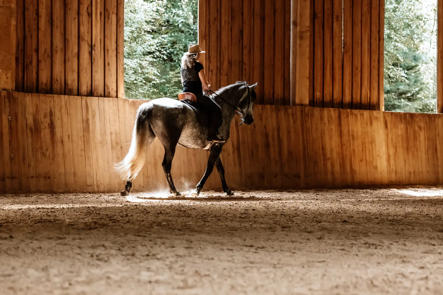 Horsemanship und Bodenarbeit